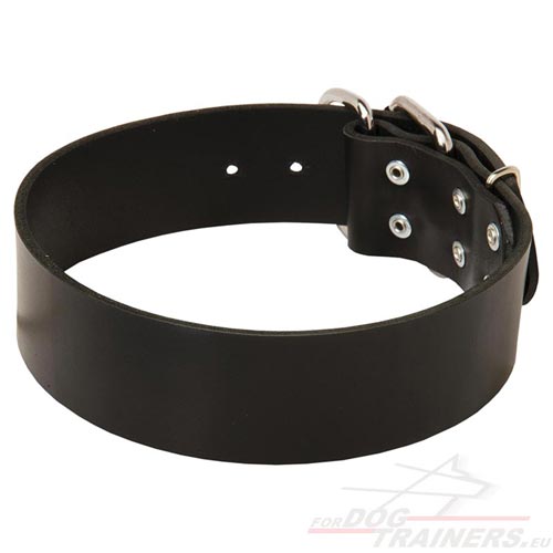 Collier cuir noir pour chien