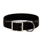 Dog
Training Buckle Collar