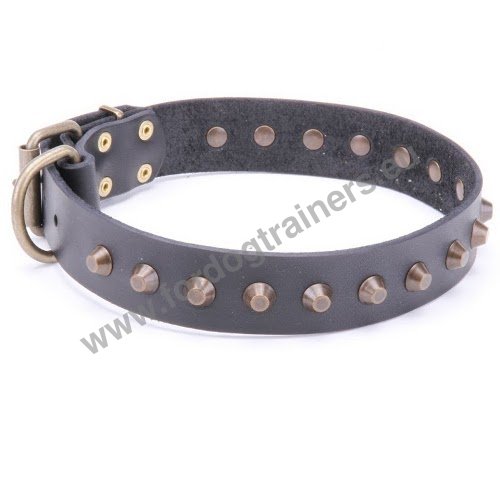 Collier solid dcor pour Husky