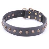 Leather Dog Collar with Pyramids!◘ [C74##1057 Collare in pelle naturale con piramidi per cane]