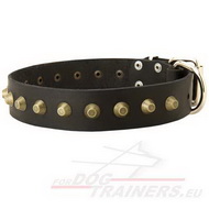 Collier magnifique pour chien Collier décoré Promenades & Contrôle pour chien
