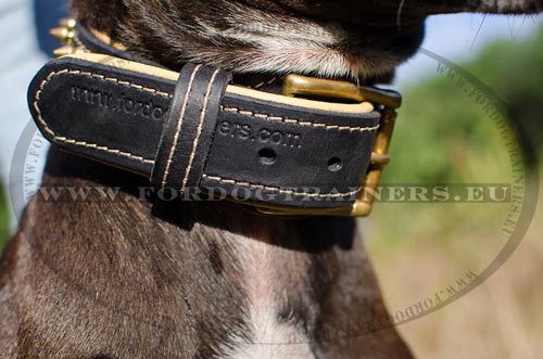 Leder Halsband fr groe Hunde