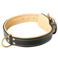 Leather Dog Collar, Classical with Nappa Padding!