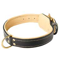 Leather Dog Collar, Classical with Nappa Padding! [C443#1057 Collare in pelle con fodera morbida per cani]