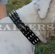 Pitbull collar de cuero con pinchos y clavos S59