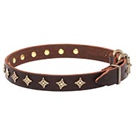Dog
Walking Leather Collar Narrow Fancy Leather Dog Collar with Star Studs