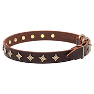 Narrow Dog Collar with Decoration