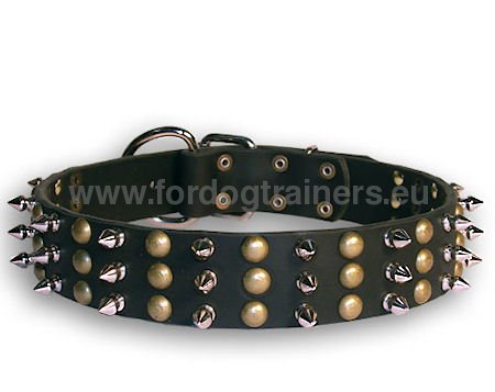 Leather dog collar
for German Shepherd Elegance&Style