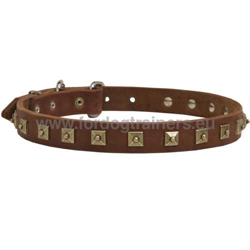Collar with squares for Pitbull superior
quality
