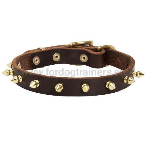 Collier clouté pour chien Cuir & Laiton