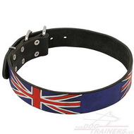 Painted Leather Collar