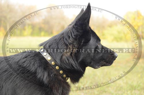 High-quality leather dog collar narrow with round metal decorations