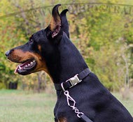 Collare classico in nylon per Dobermann