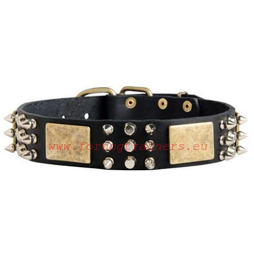 Leder Halsband fr Pitbull