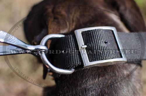 Water-resistant Nylon Collar for Pitbull