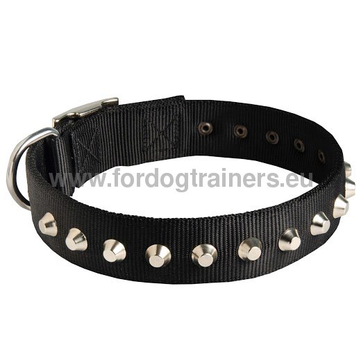 Decorated Nylon Collar for Boxer