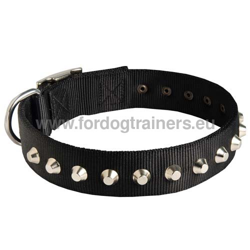 Practical and resistant nylon dog collar for German Shepherd