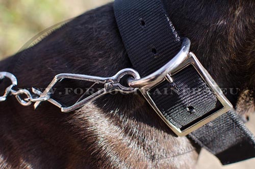 Collier nylon pour Dobermann confortable, facile  laver
C42