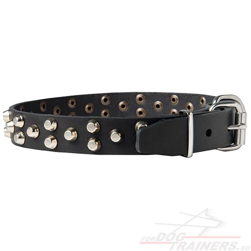 Collier fiable, de longue durée de vie pour chien
Meilleur Cuir