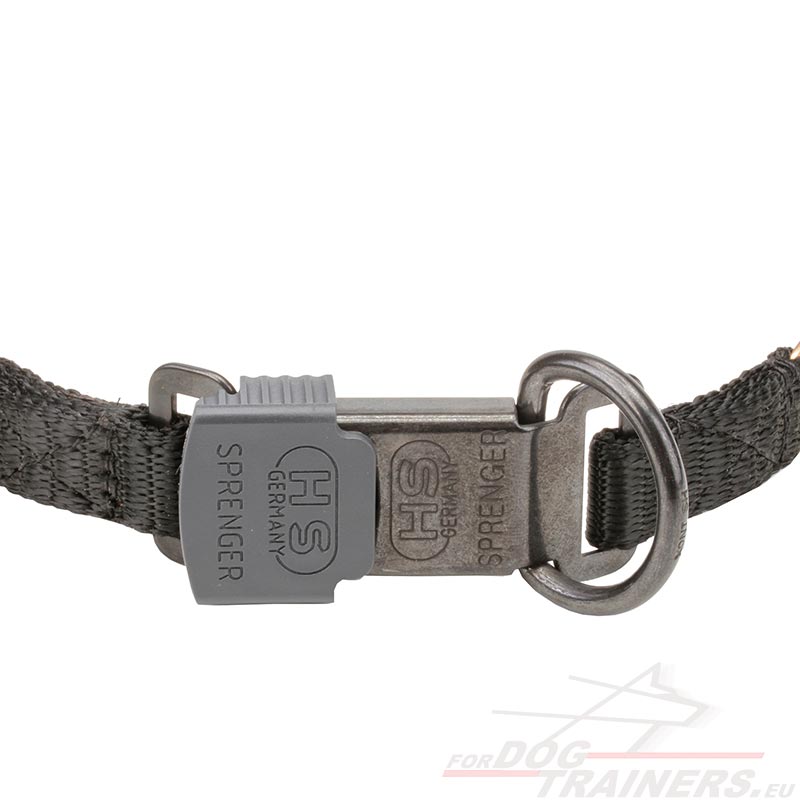 Collier torquatus courogan pour chien | Collier pratique Collier torquatus courogan pour chien | Collier pratique