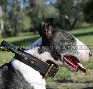 Agitation Leather dog collar with handle for Bullterrier, black