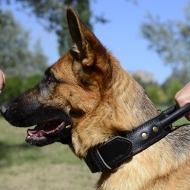Two Ply Leather Agitation Dog Collar for German Shepherd