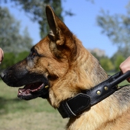 Two Ply Leather Agitation Dog Collar for German Shepherd [C33##1057 Collare di cuoio con maniglia per Pastore tedesco]