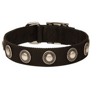 Hundehasband Nylon mit Silber-Schmuck!