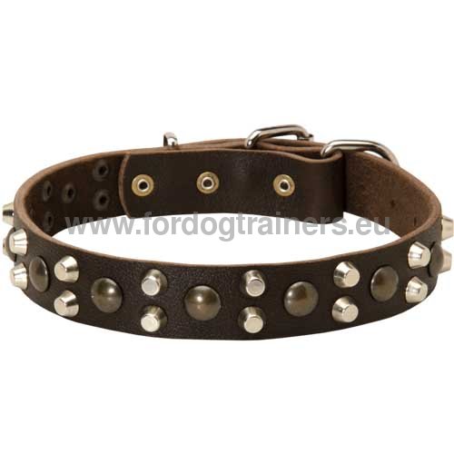 Leather dog collar with steel decorations for German
Shepherd