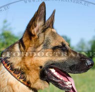 German Shepherd Leather Collar Design with Image "Flame" ✔