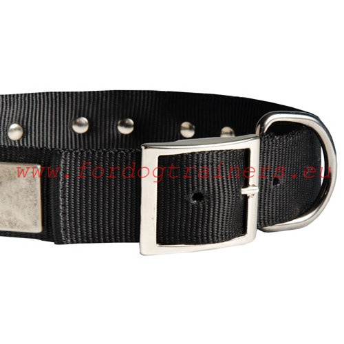 Universal nylon dog collar for Pitbull - excellent for
any weather training