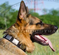 Nylon Dog Collar With Plates for German Shepherd ▰