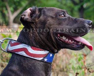 Collar Cuero con Dibujo para Perros Estilo Americano