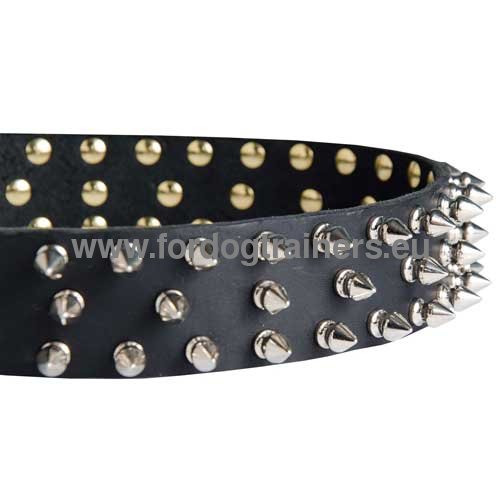 Leather collar for Pitbull Gladiator Style