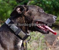 Leather Collar with Nickel Plates for Pitbull