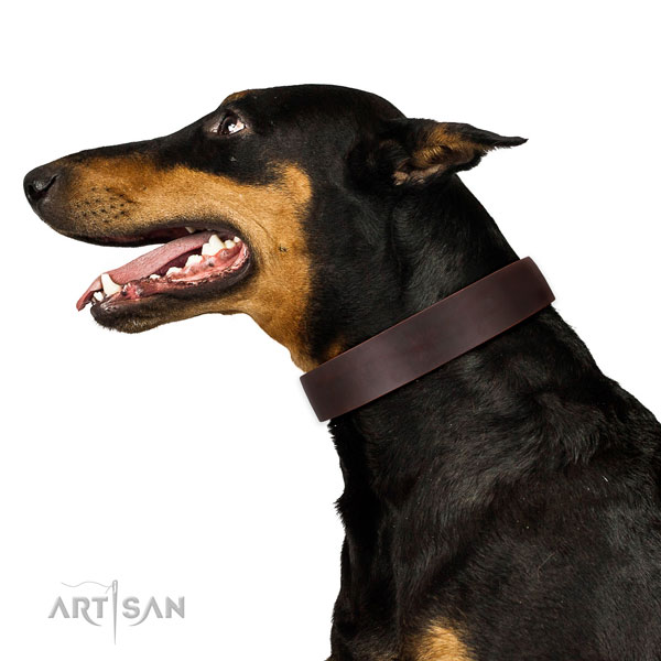 Collier marron pour Doberman