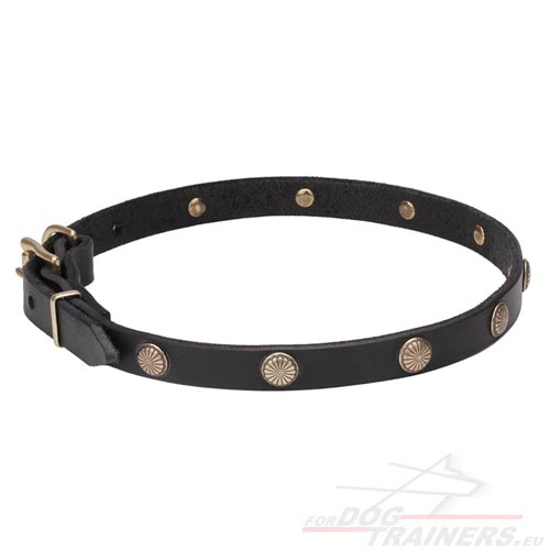 Collare originale con borchie a fiore per cane