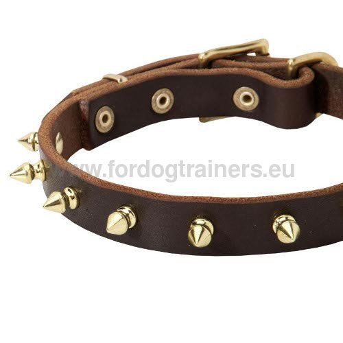 Collier pour chien Design Élégant