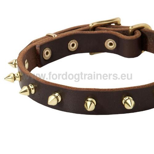 Collier pour chien Design lgant