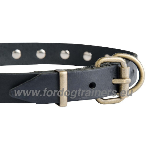 Collier 25 mm de large en cuir résistant pour chien