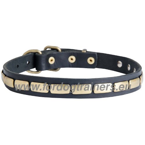 Collier orné de rivets rectangulaires en laiton pour
chien
