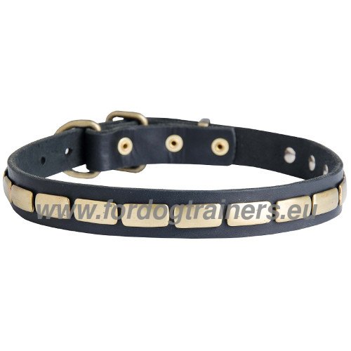 Collier orn de rivets rectangulaires en laiton pour
chien