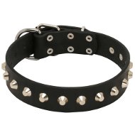 Collier Cuir & Nickel pour chien Excellente Qualité Collier Cuir & Nickel pour chien Excellente Qualité