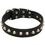 Collier Cuir & Nickel pour chien Excellente Qualit