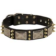 Leder Halsband Design mit Silbrigen Platten und Bronzen Spitzen [C87##1057 Collare esclusivo in pelle naturale per cane]