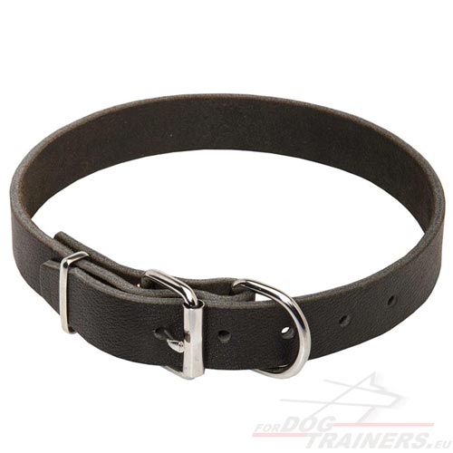 Collier en cuir de qualit pour chien