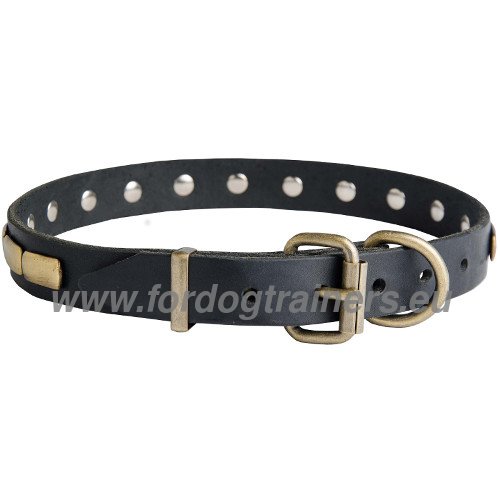 Collier à boucle en laiton pour chien