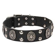 Leather Canine Collar