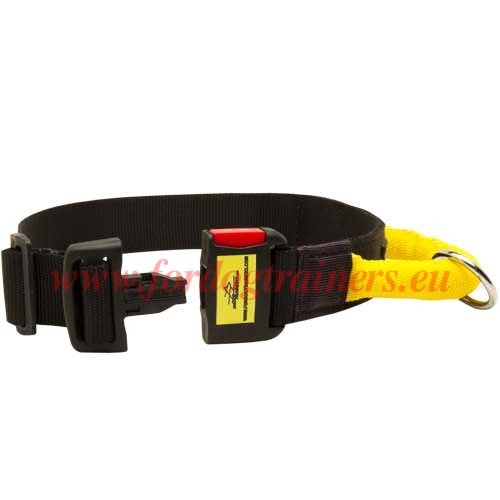 Collier de sport et de marche pour chien