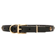 Leather Canine Collar with Goldish Brass Hardware